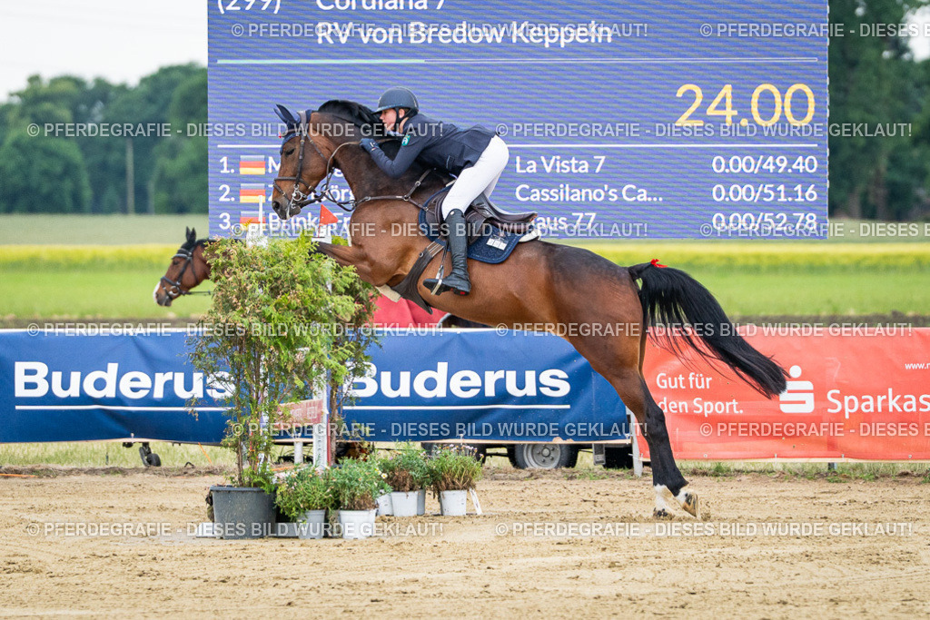 DSC05669 | Pferdegrafie