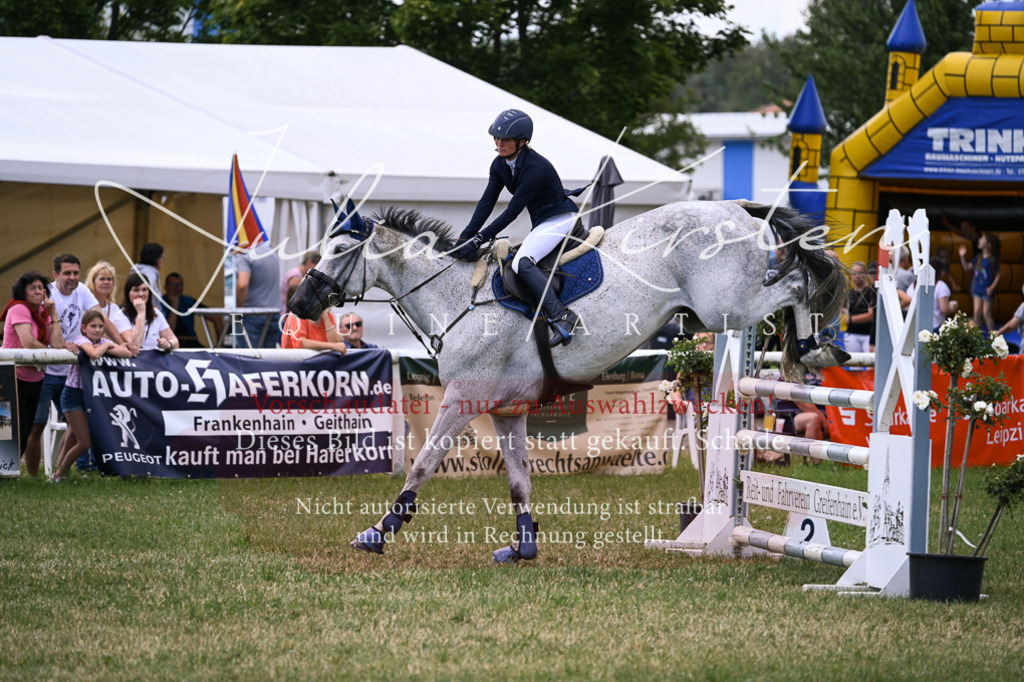 DSC_0935 | Pferde- und Turnierfotografie in Westsachsen. Pferdeportraits, Auftragszeichnungen und intuitive Kunst.