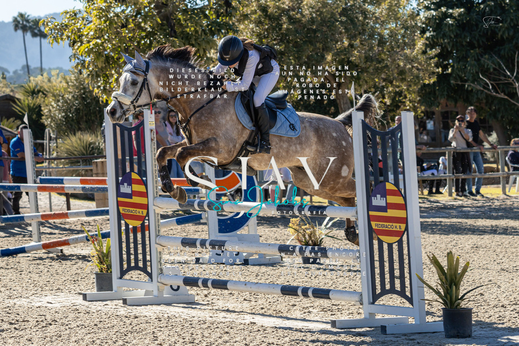 IMG_1419 | s-jay-photography - Realisiert mit Pictrs.com