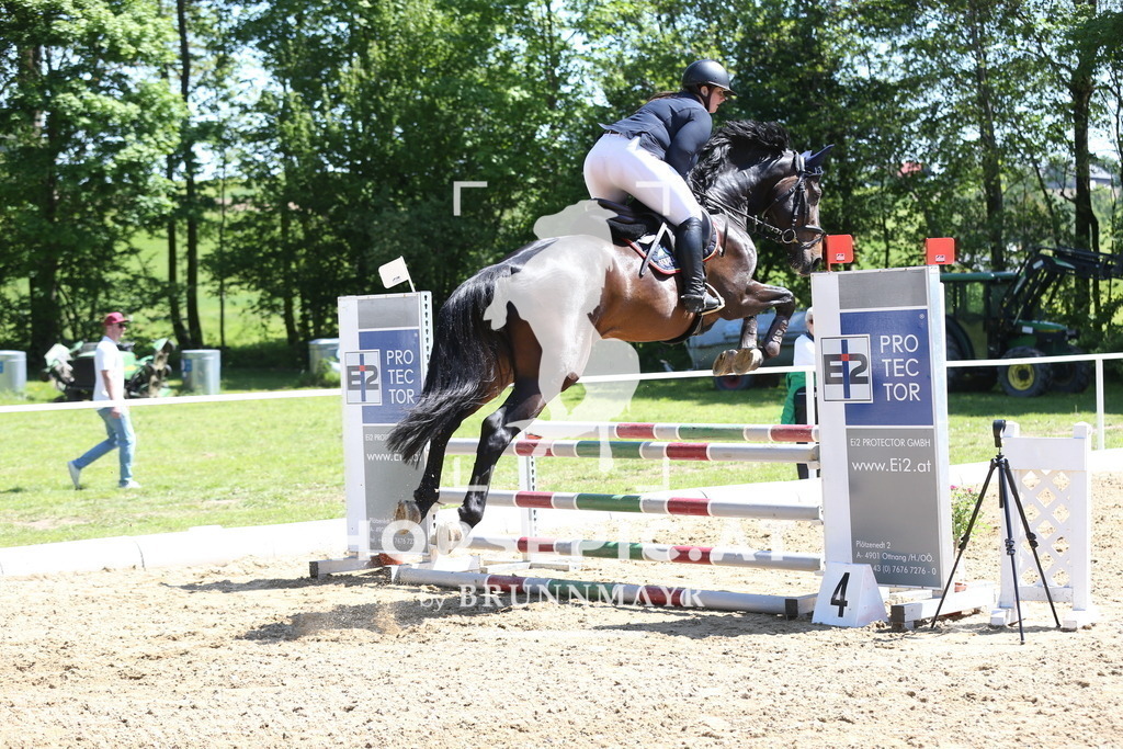 DL2Q1117 | Willkommen bei Brunnmayr - Design & Fotografie – Ihrem Spezialisten für Reitturniere und Pferdeveranstaltungen in Oberösterreich, Salzburg und Bayern! Seit über 17 Jahren sind wir leidenschaftlich dabei.