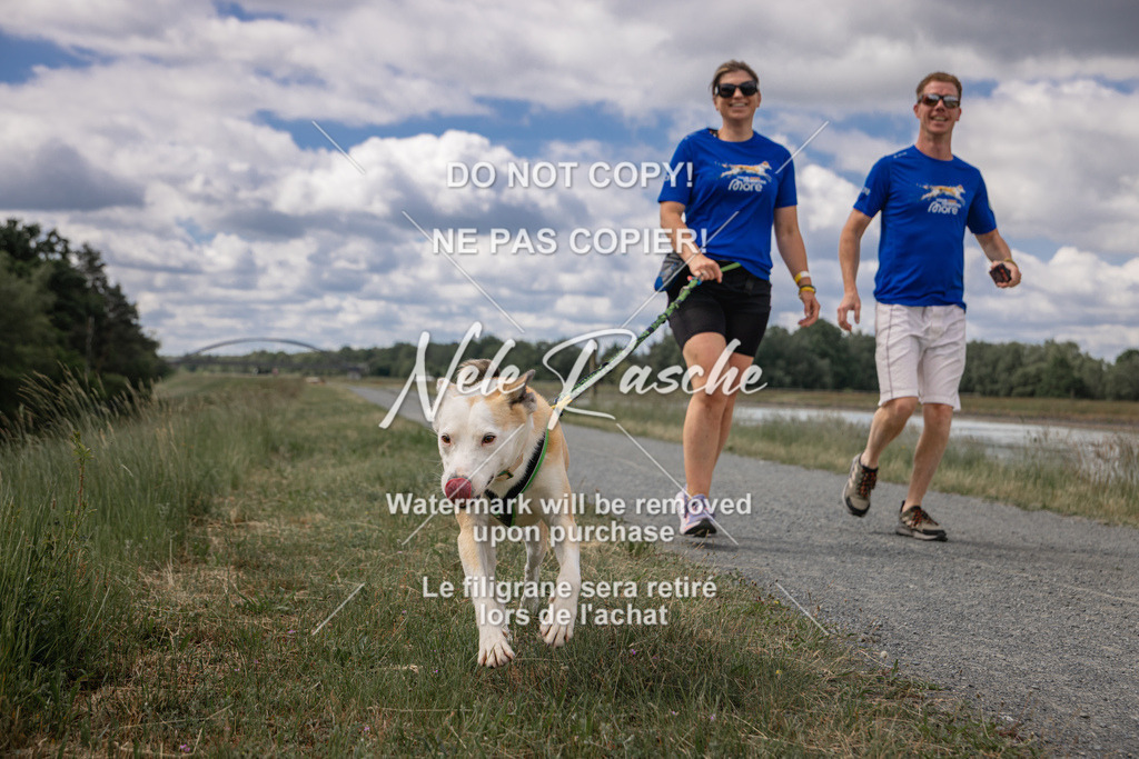 nelerasche_BuHu2026_SaCC1100-1200_108 | nelerasche