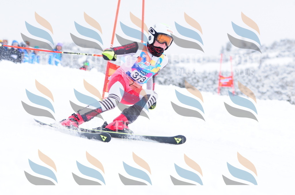 C3979 | holidayphoto