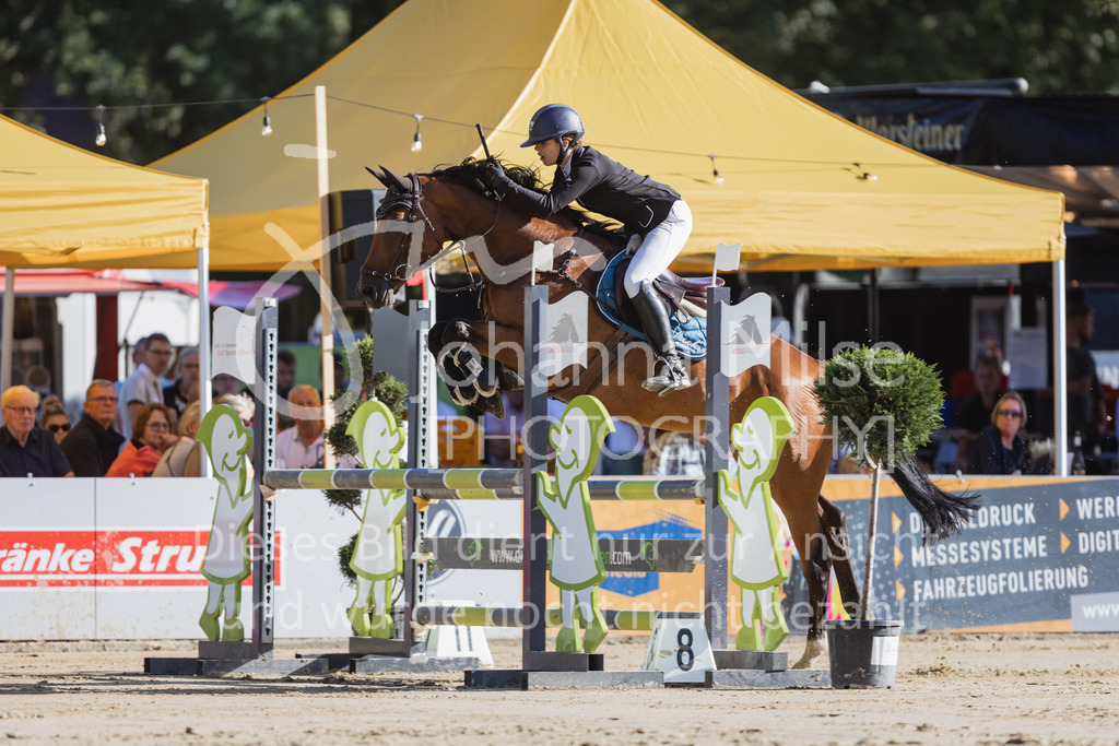 220828_Delbrueck_A2-Spr-252 | Deine schönsten Turniermomente als professionelle Fotos! Entdecke hochwertige Pferdesport-Fotografie im Online-Shop. Jetzt Fotos finden & bestellen!