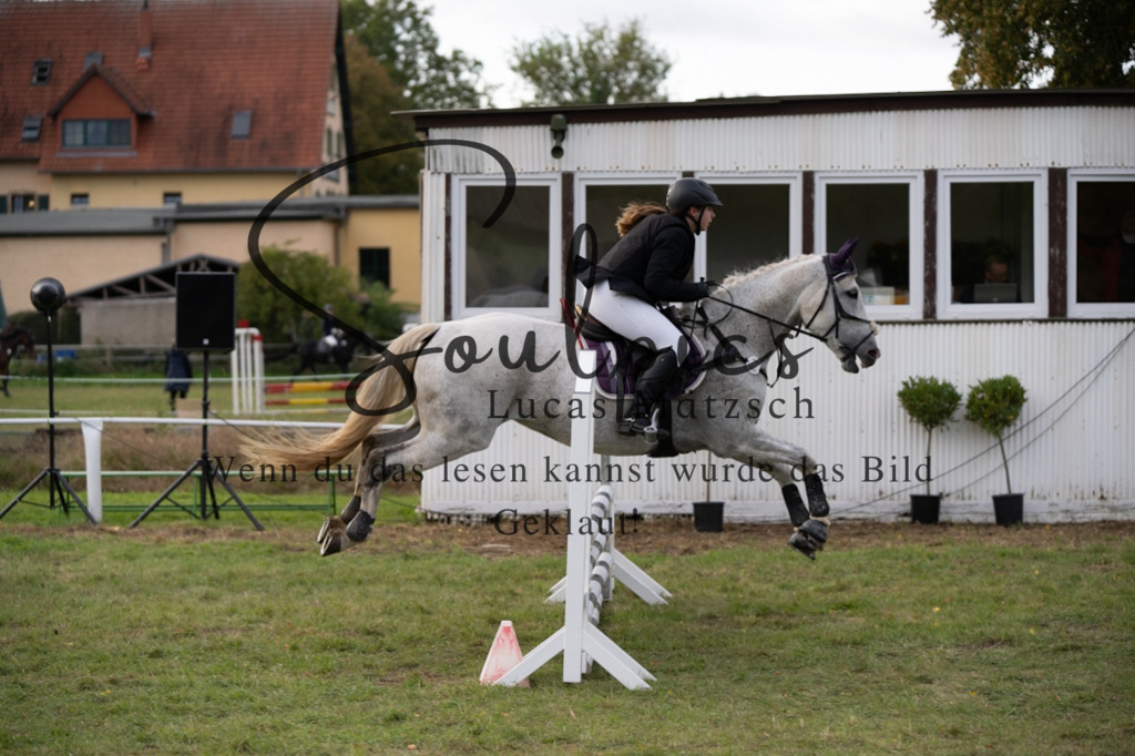 A7V06313 | Pferdefotograf