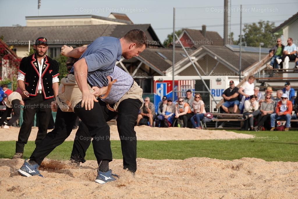 DSC08442 | Schwingen - Realisiert mit Pictrs.com