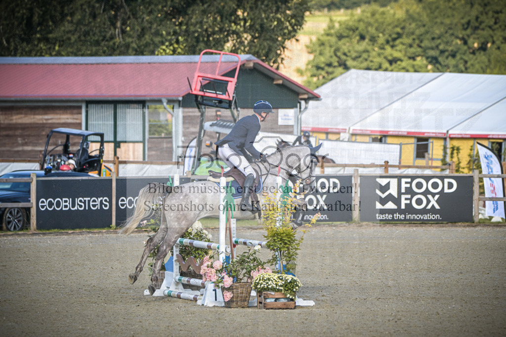 DOS_8489 | Entdecke hochwertige Reitturnierfotos von Foto Oger. Professionell, emotional und authentisch – jetzt Lieblingsmomente im Shop bestellen.Deutschlandweite Turnierfotografie. - Realisiert mit Pictrs.com