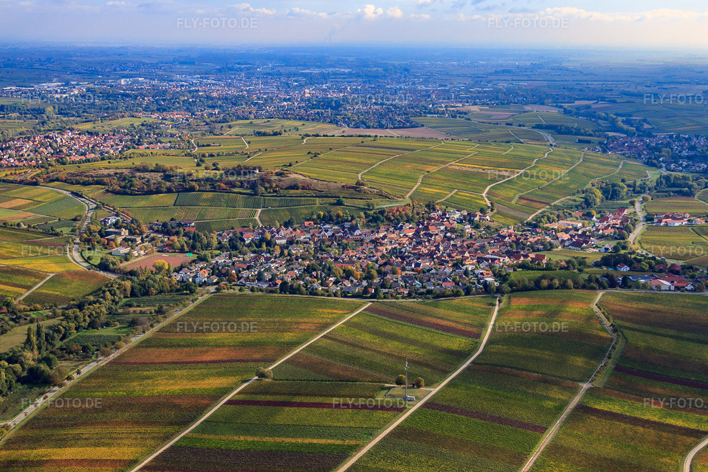 Luftbild: Winzerdorf an der kleinen Kalmit von Westen in Ilbesheim bei Landau im Bundesland Rheinland-Pfalz in Deutschland. Foto: IMG_22369.jpg vom 15.10.2009 durch Werner Riehm/FLY-FOTO.de