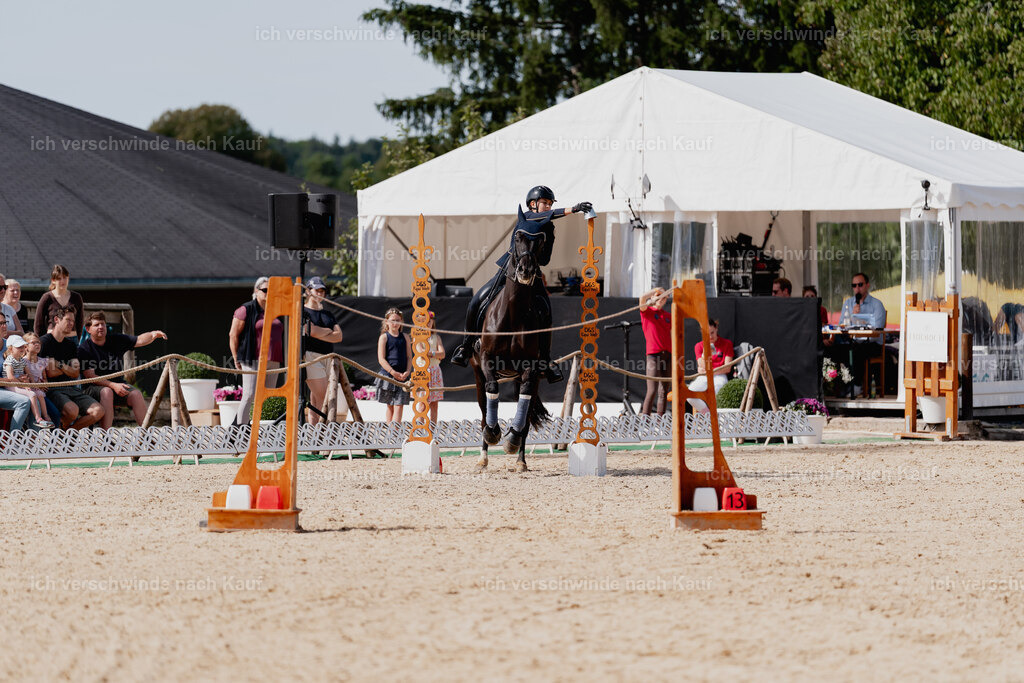 Leonie24_FHC2025-50 | working equitationturnier fotograf videograf stoibphotography marixx film working equitation deutschland reitsport turnierfotografie eventfotografie equestrian events