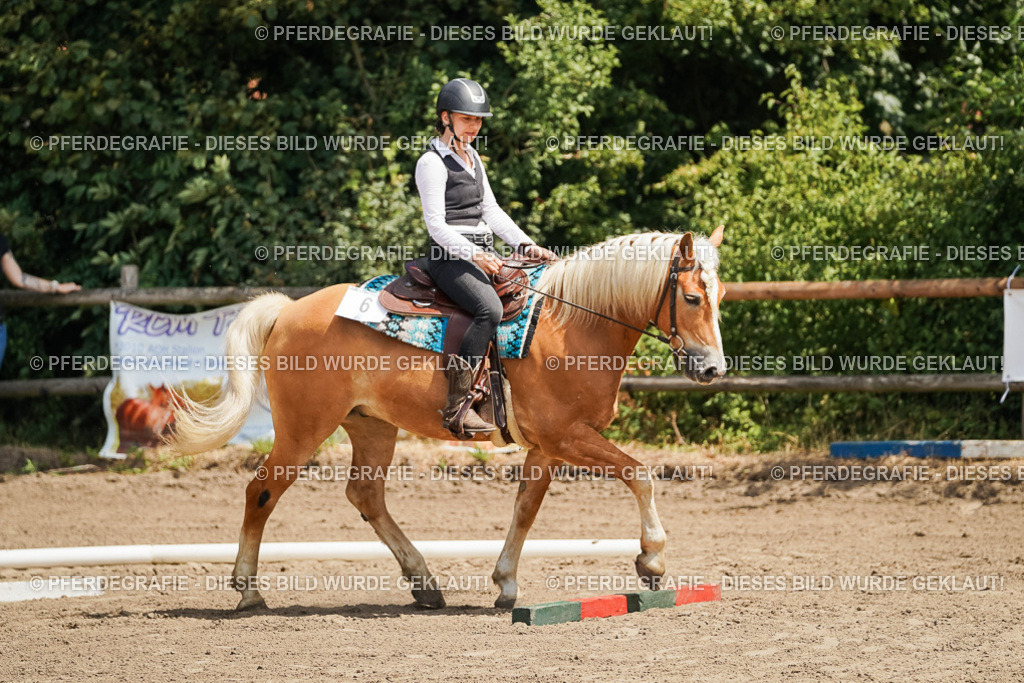 DSC07105 | Pferdegrafie