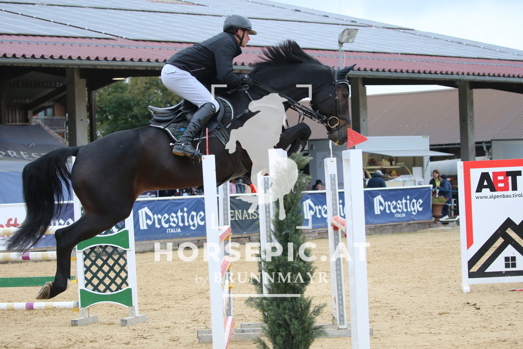 DL2Q1626 | Willkommen bei Brunnmayr - Design & Fotografie – Ihrem Spezialisten für Reitturniere und Pferdeveranstaltungen in Oberösterreich, Salzburg und Bayern! Seit über 17 Jahren sind wir leidenschaftlich dabei.