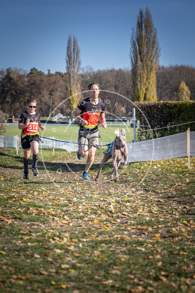 CaniXpix_DV3A8006 | Hundefotografie, Tierfotograf, Pfotenfotografie, Fotoshooting Hund, Hunde Portrait, Hundesport, Hundeportraits, Heideshooting, Hunde, Sportfotograf, Hundefotograf, Turnierhundsport, THS,  - Realisiert mit Pictrs.com