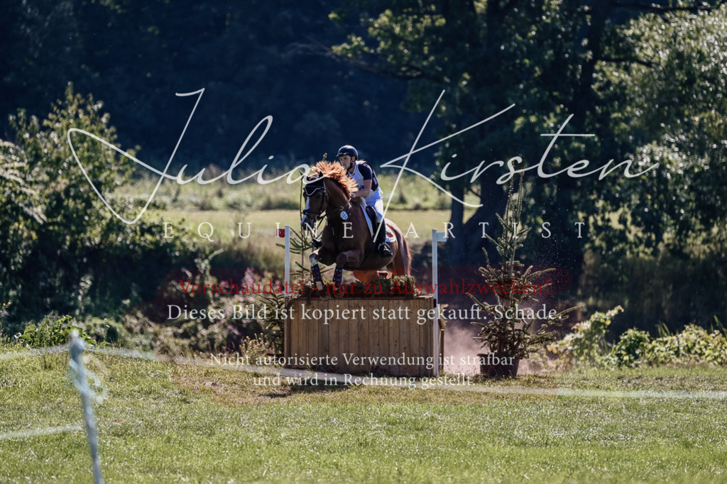 DSC_1876 | Pferde- und Turnierfotografie in Westsachsen. Pferdeportraits, Auftragszeichnungen und intuitive Kunst.