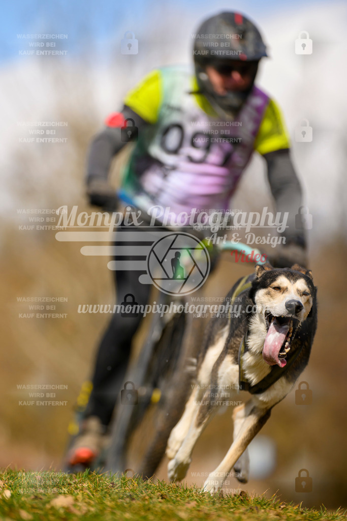 MompixPhotography_10Schwabentrail2026_SO_Scooter-103 | PayLife