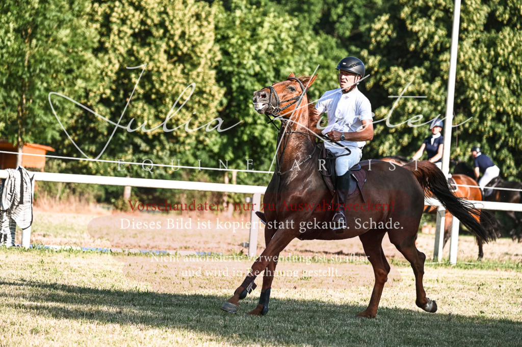 DSC_2745 | Pferde- und Turnierfotografie in Westsachsen. Pferdeportraits, Auftragszeichnungen und intuitive Kunst.