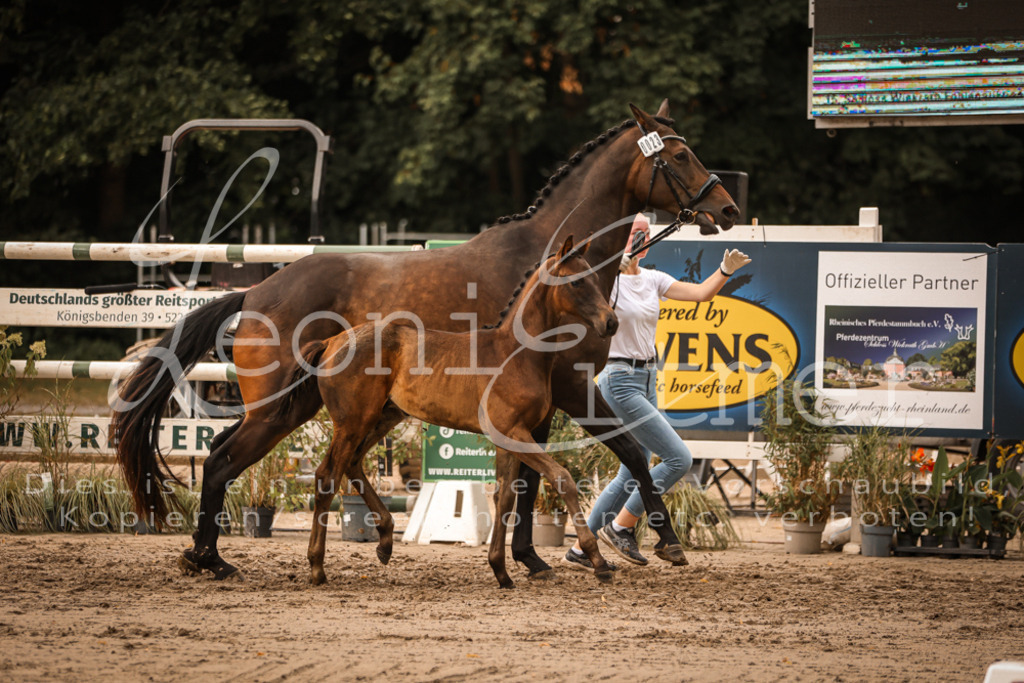 SaPA00329 | Leoni Ertmer Photography - Realisiert mit Pictrs.com