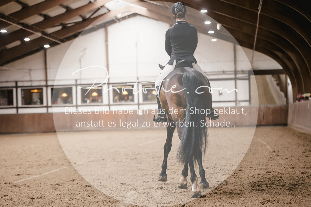 3I6A8387 | Stimmungsvolle Portraits und Reitsportfotografie im Ruhrgebiet und im Münsterland.

Pferdefotografie, Hundefotografie, Tierfotografie, Reportagen, Portraits von Tier und Mensch, Turnierfotografie in Bochum, Recklinghausen, Marl, Haltern am See, Dülmen.. - Realisiert mit Pictrs.com