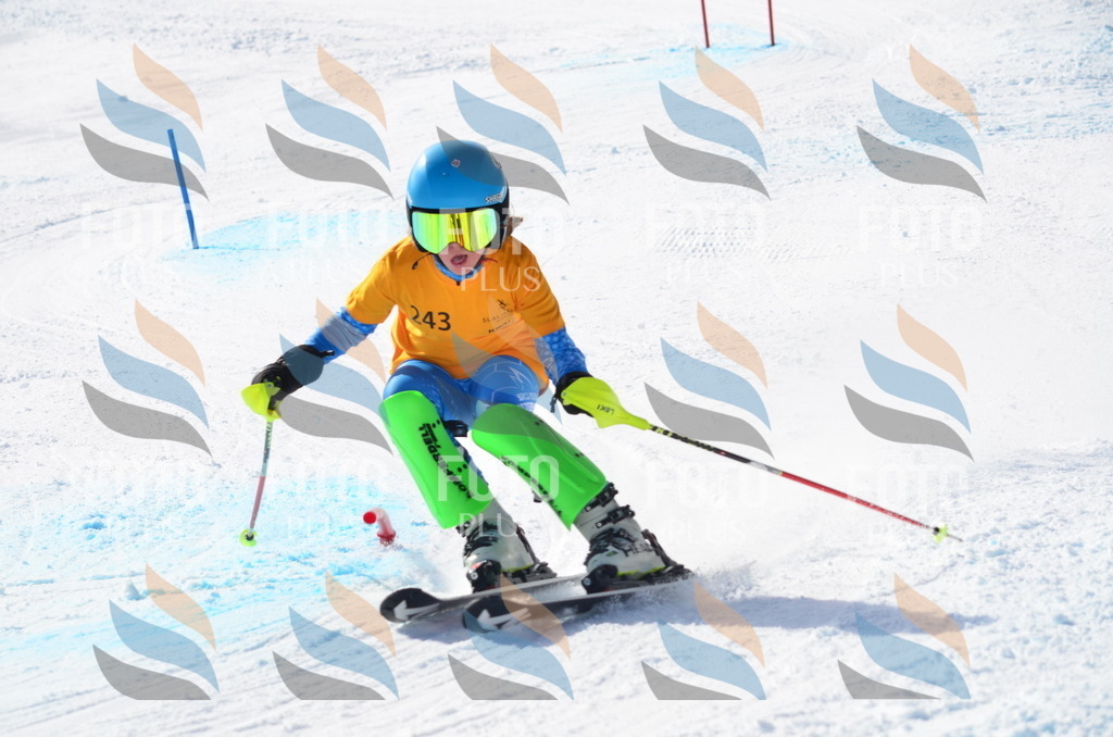 C8407 | holidayphoto