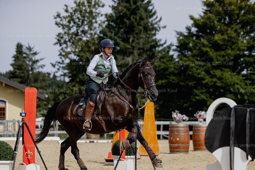 Mirjam25_FHC2025-20418 | working equitationturnier fotograf videograf stoibphotography marixx film working equitation deutschland reitsport turnierfotografie eventfotografie equestrian events
