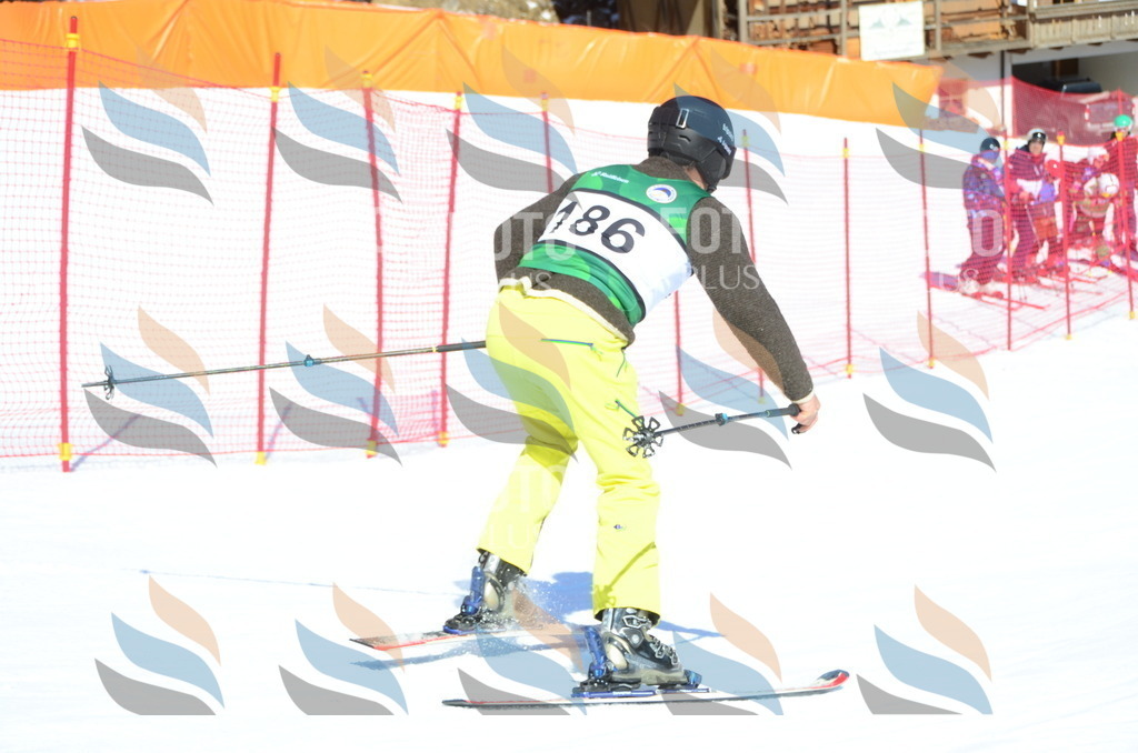 C6465 | holidayphoto