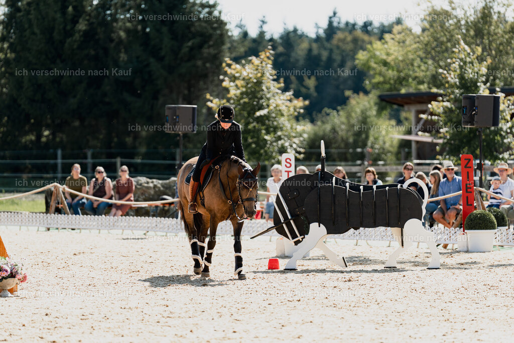 Katja7_FHC2025-09004 | working equitationturnier fotograf videograf stoibphotography marixx film working equitation deutschland reitsport turnierfotografie eventfotografie equestrian events