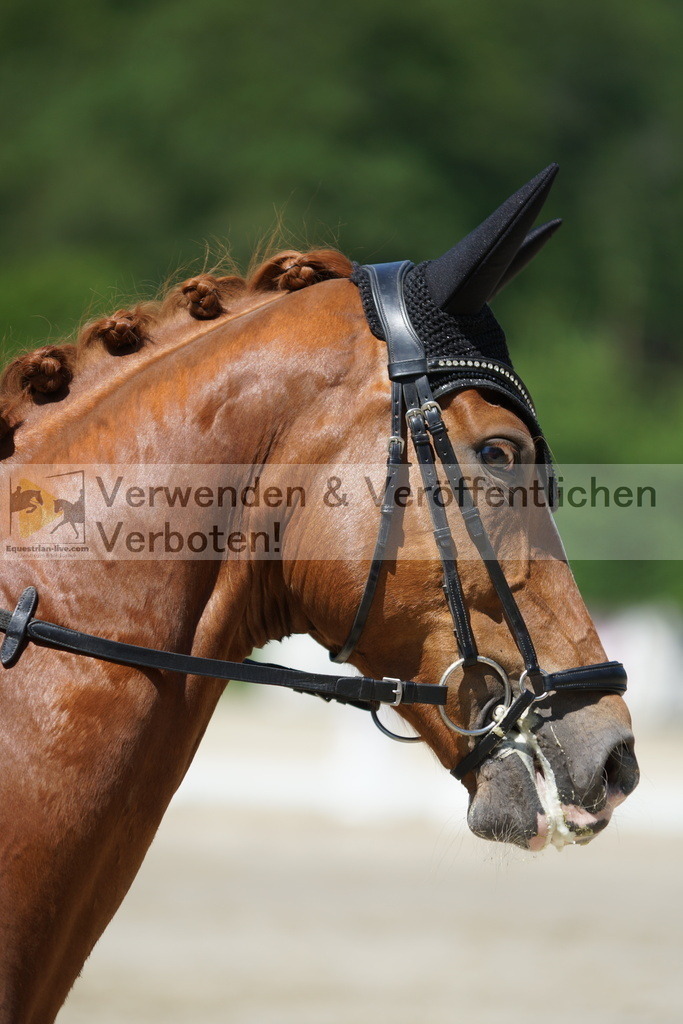 DSC03171 | equestrian-live-com