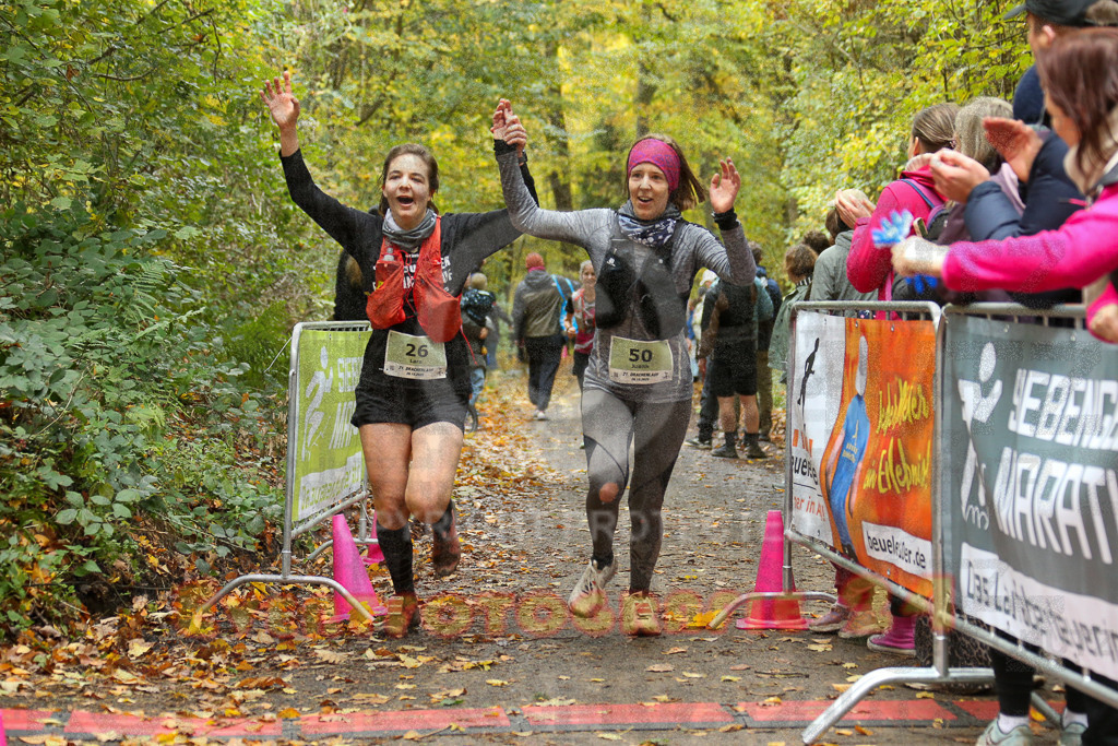 251026_1301_EX1_2280 | Sportfotografie im Rhein-Sieg Kreis, Köln, Bonn, NRW, Rheinland Pfalz, Hessen, etc. Unser Tätigkeitsfeld umfasst den Laufsport vom Volkslauf über den Marathon, Duathlon, Triathon bis zum Ultralauf wie Kölnpfad Ultra oder Schindertrail.