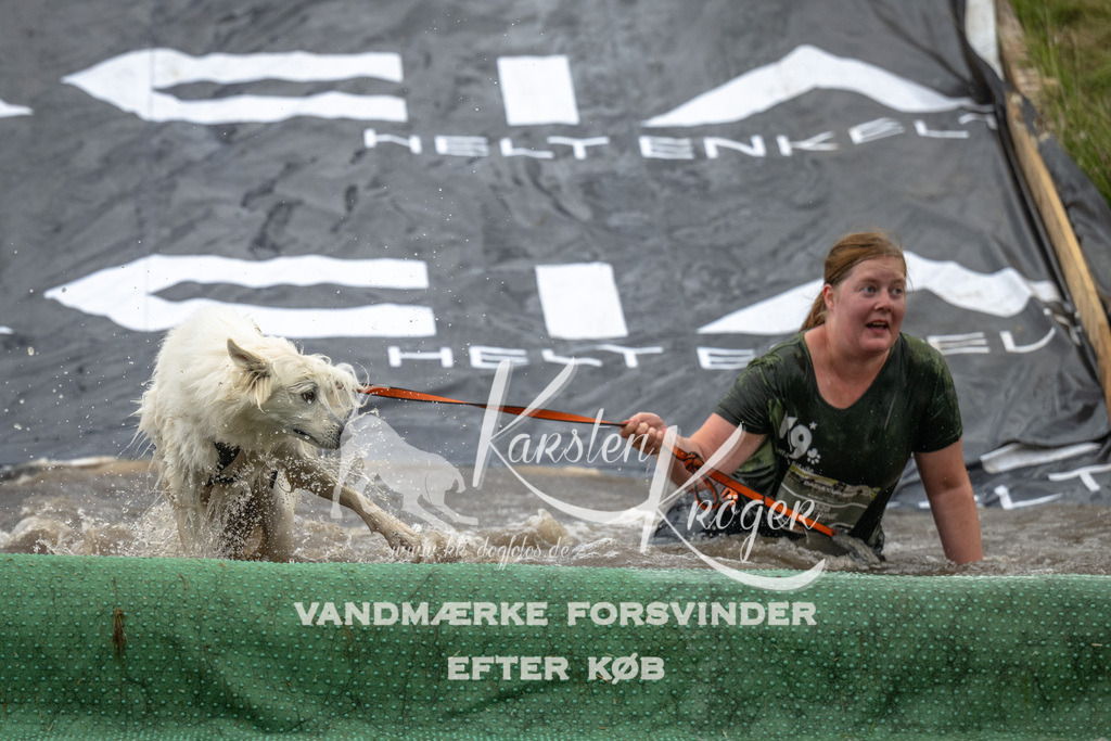 1614_ZZ92935 | kk-dogfotos