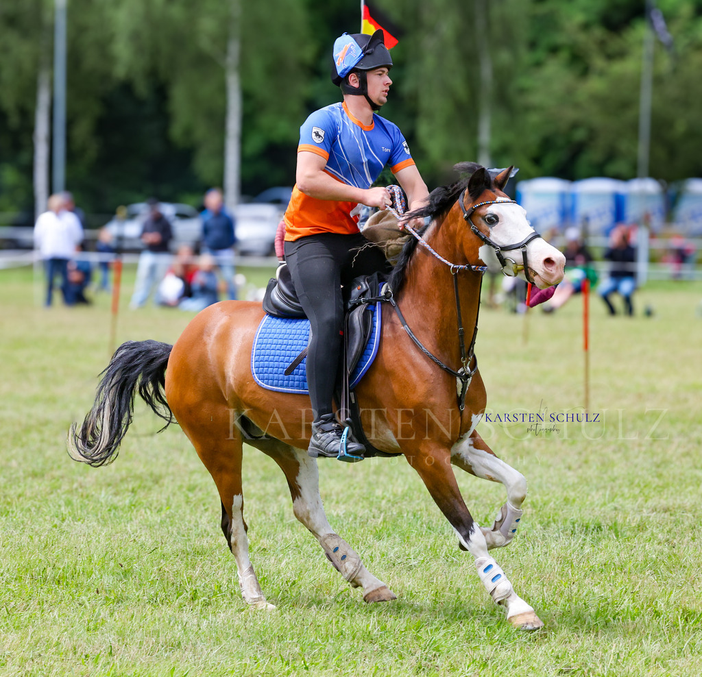 1B3A1768 | Reitsport Reiten