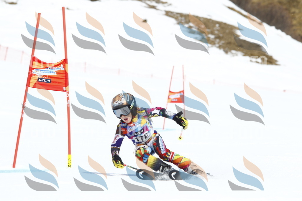 _U3G4549 | holidayphoto