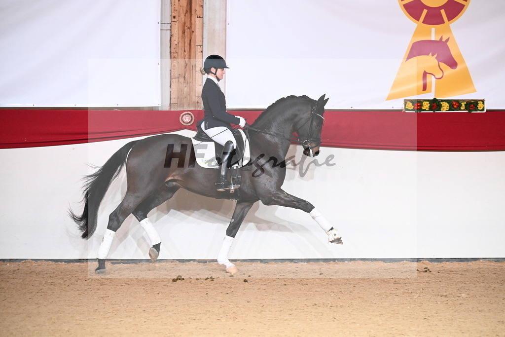 San__Haug_2254516 | hf-fotografie - Realisiert mit Pictrs.com