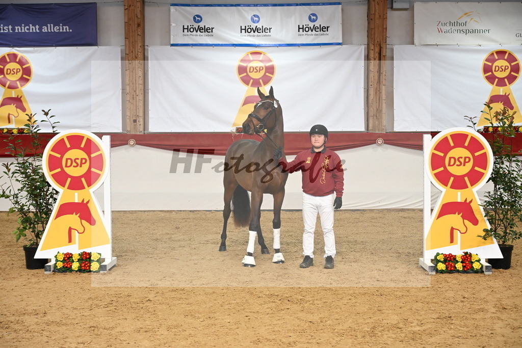 Kat.-Nr. 17 v. Denzel van het Meulenhof_Laue_326051 | hf-fotografie - Realisiert mit Pictrs.com