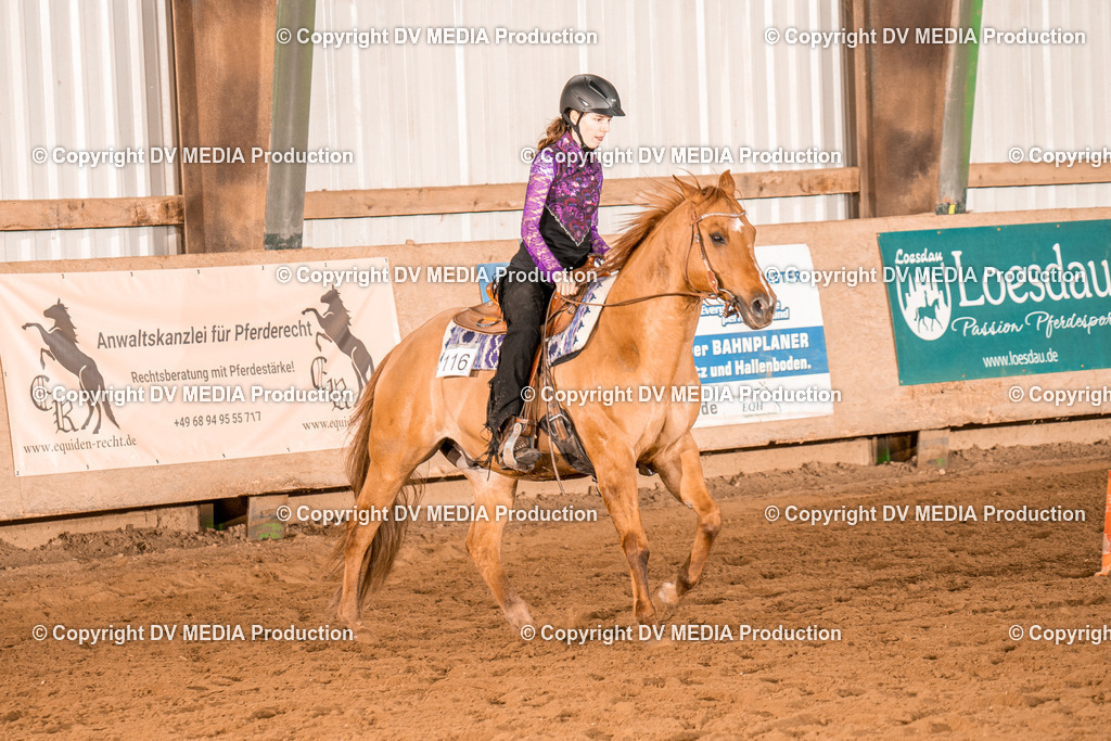 BAL00678 | dv-media-shop - Realisiert mit Pictrs.com