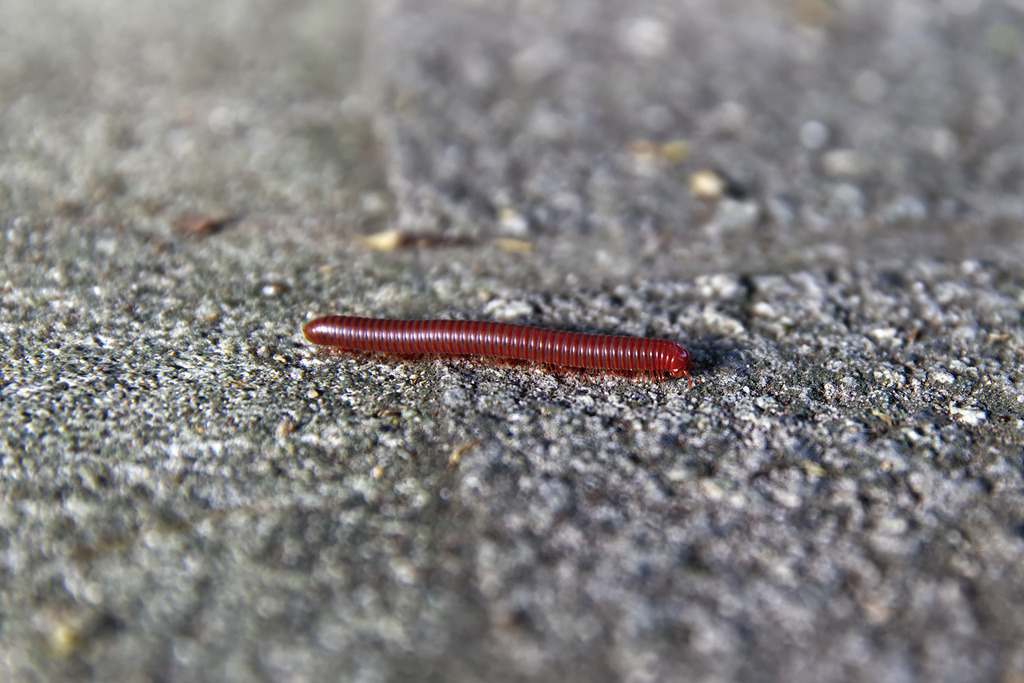 1H5A0343 | ansichtssache