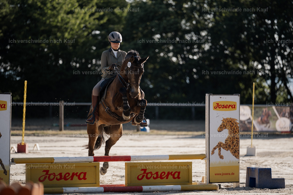 WM_ST_131_stoibphotography__SO10057 | working equitationturnier fotograf videograf stoibphotography marixx film working equitation deutschland reitsport turnierfotografie eventfotografie equestrian events