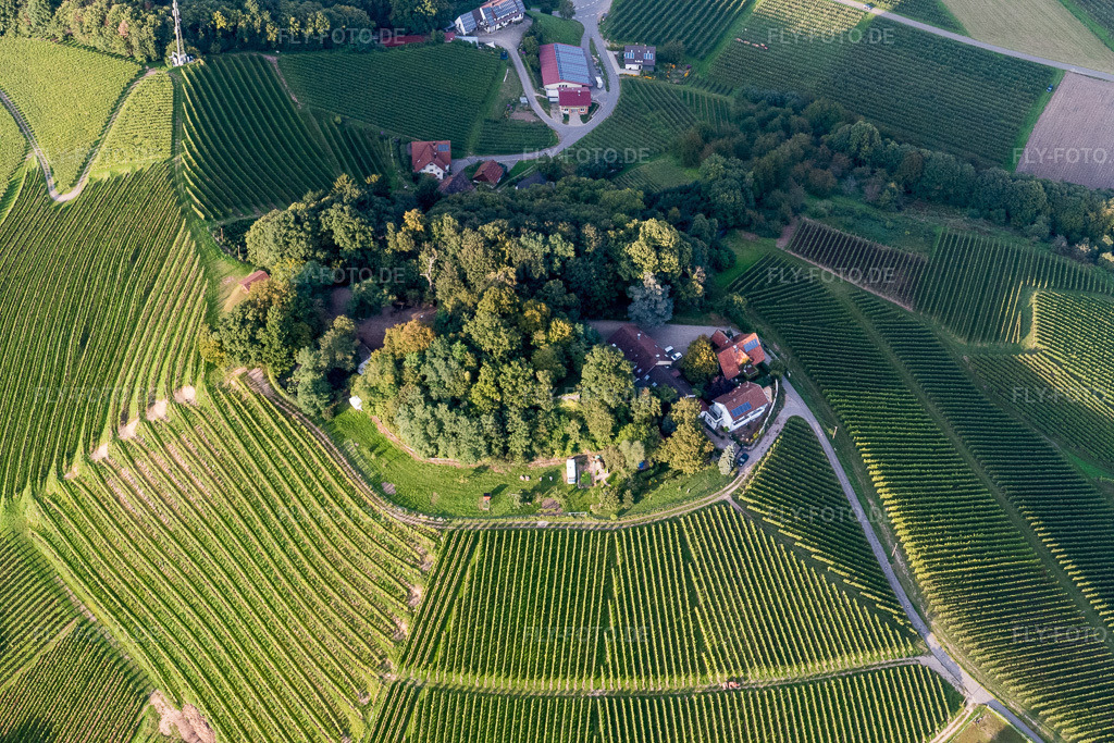 Luftbild: Weinbergs- Landschaft der Winzer- Gebiete in Oberkirch im Bundesland Baden-Württemberg in Deutschland. Foto: P1010158.jpg vom 15.09.2014 durch Werner Riehm/FLY-FOTO.de