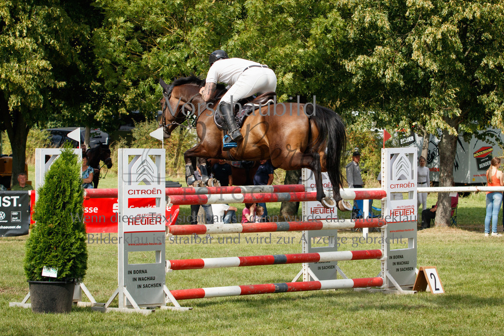 IMG_3731 | P. Berger Fotografie - Realisiert mit Pictrs.com