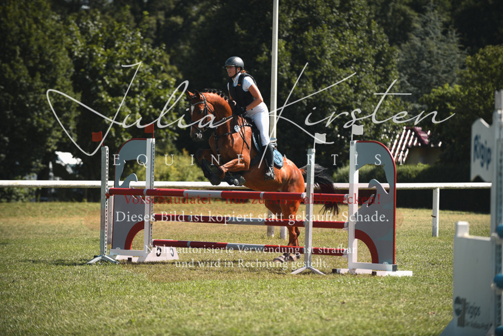 DSC_6950 | Pferde- und Turnierfotografie in Westsachsen. Pferdeportraits, Auftragszeichnungen und intuitive Kunst.