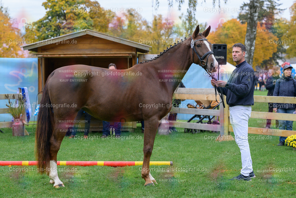 159_Triys_v.Chardonnay_Wimmer_251018_03_gis | gis-fotografie