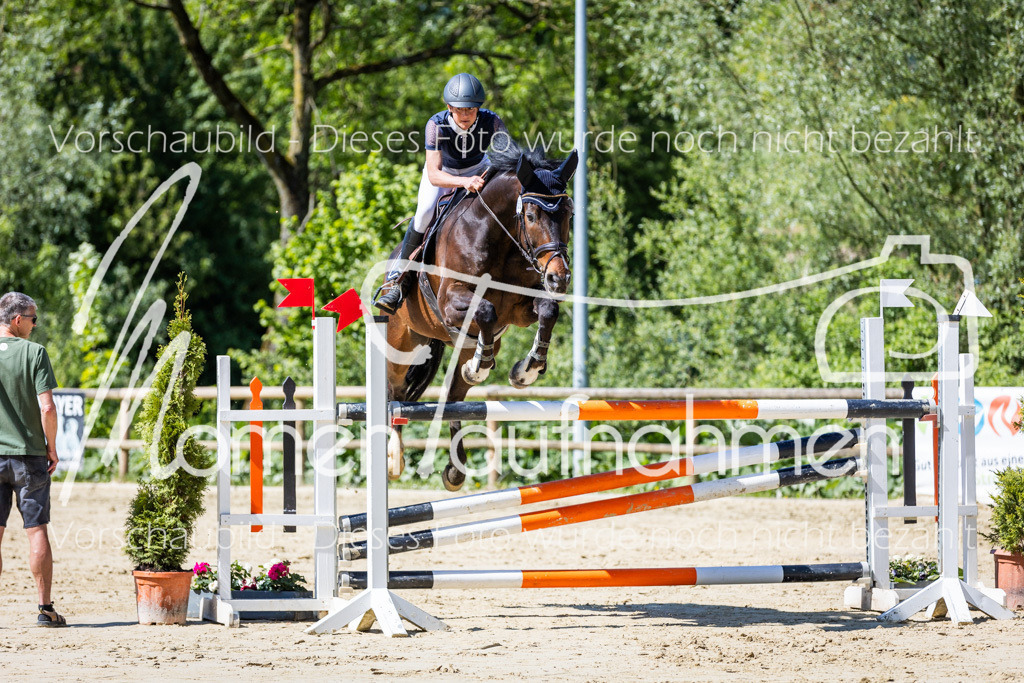 Donop24-M-Spr-044 | MomenTaufnahmen Pferdesportfotos