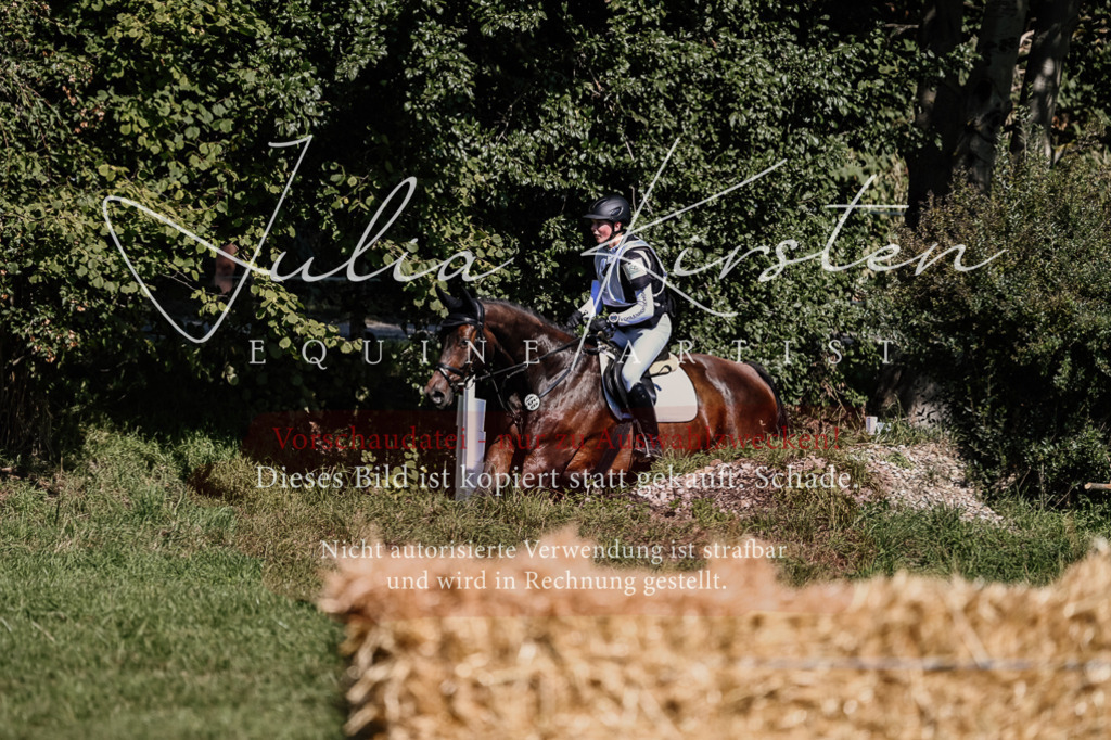 DSC_1442 | Pferde- und Turnierfotografie in Westsachsen. Pferdeportraits, Auftragszeichnungen und intuitive Kunst.