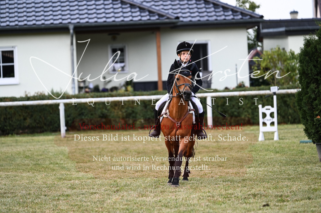 DSC_5543-2 | Pferde- und Turnierfotografie in Westsachsen. Pferdeportraits, Auftragszeichnungen und intuitive Kunst.
