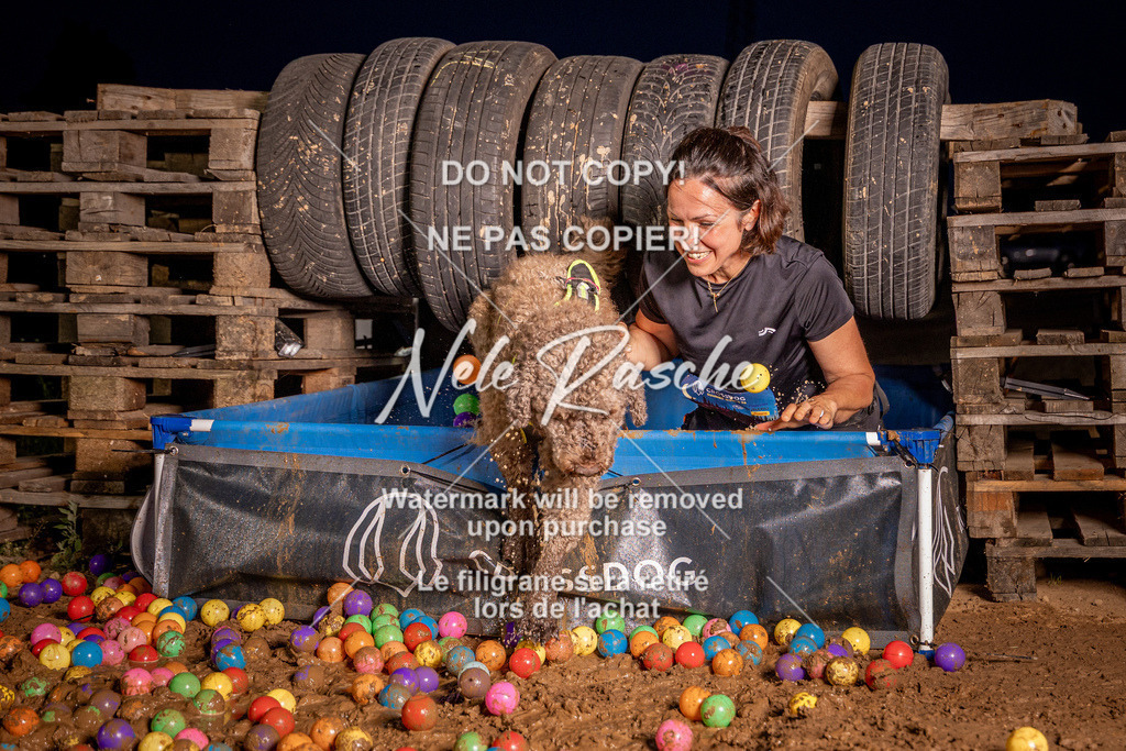 nelerasche_SummerNights26_Sa2130-Ende_224 | nelerasche