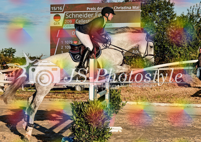 20250829_Springpferdeprfg Kl.L 115cm-92 | JS-Photostyle - Sport-/Portrait- & Eventfotografie