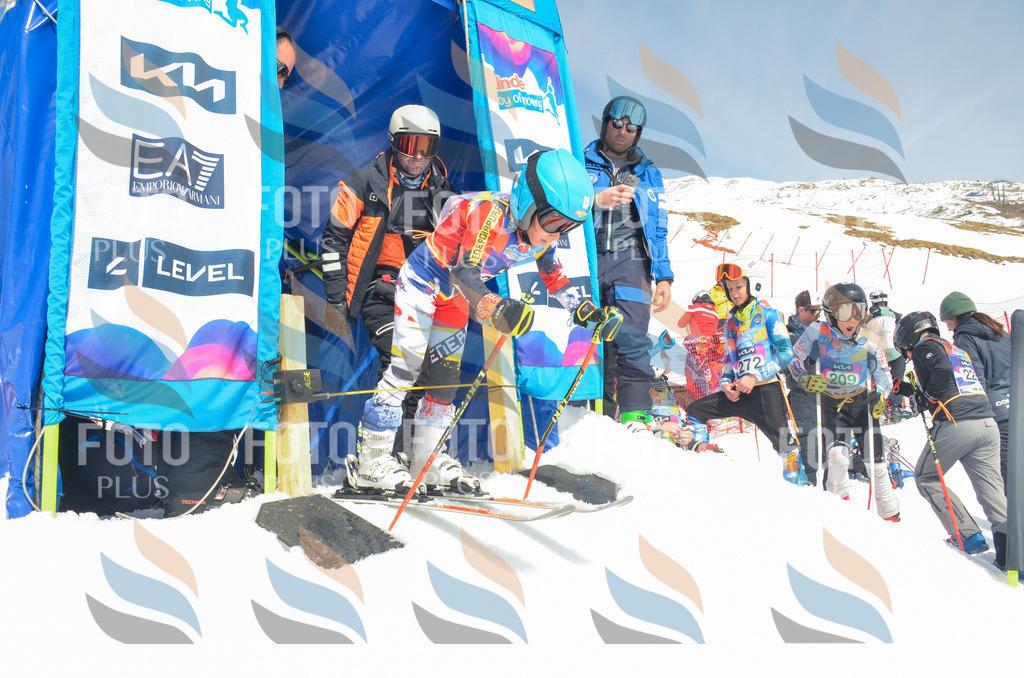 _ELE6958 | holidayphoto