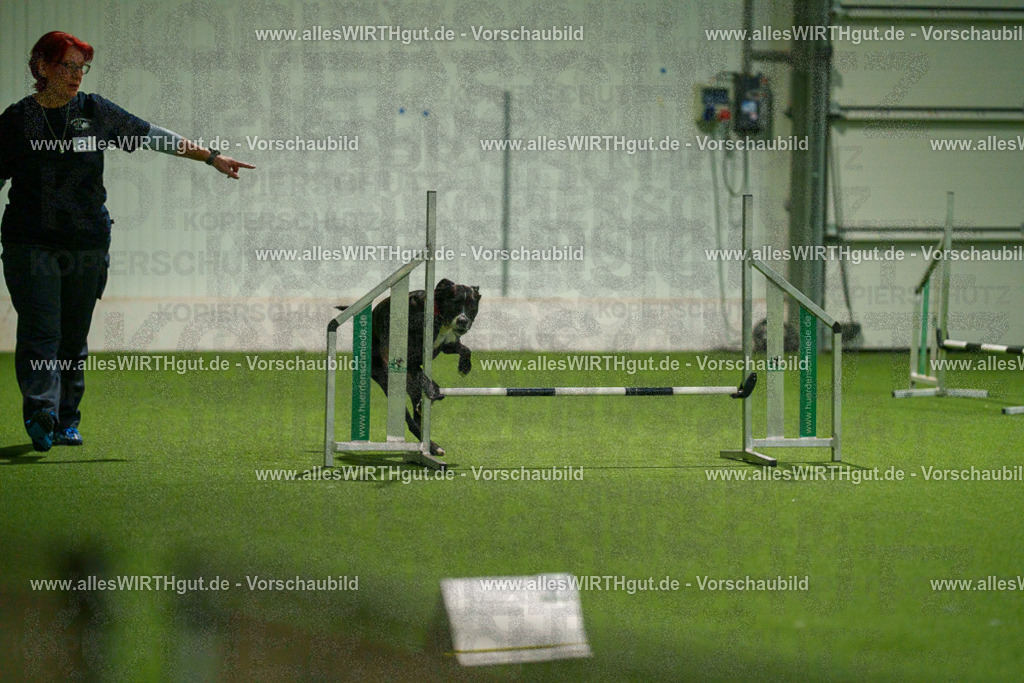 7R507408 | Professionelle Tierfotografie in Mönchengladbach von Daniel Wirth (allesWIRTHgut). Liebevolle & natürliche Bilder von Hunden & Katzen für unvergessliche Erinnerungen.