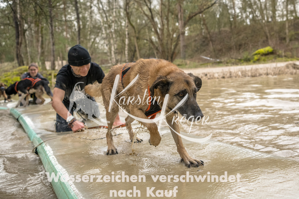 1337_ZZ90179-Bearbeitet | kk-dogfotos