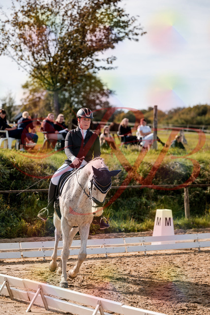 2026_10_03_Siefer-Hof_122646_Z63_47356991 | Professionelle Reitsport-, Turnier- und Eventfotografie von Robert Broda. Galerien mit ausgewählten und bearbeiteten Bildern direkt online ansehen und bestellen.