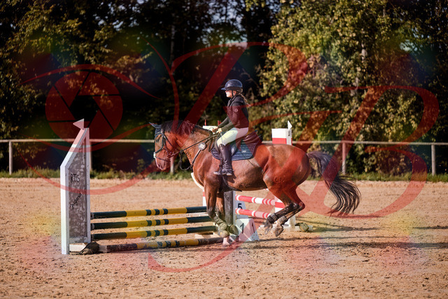2026_10_03_Siefer-Hof_154625_Z81_64850551 | Professionelle Reitsport-, Turnier- und Eventfotografie von Robert Broda. Galerien mit ausgewählten und bearbeiteten Bildern direkt online ansehen und bestellen.