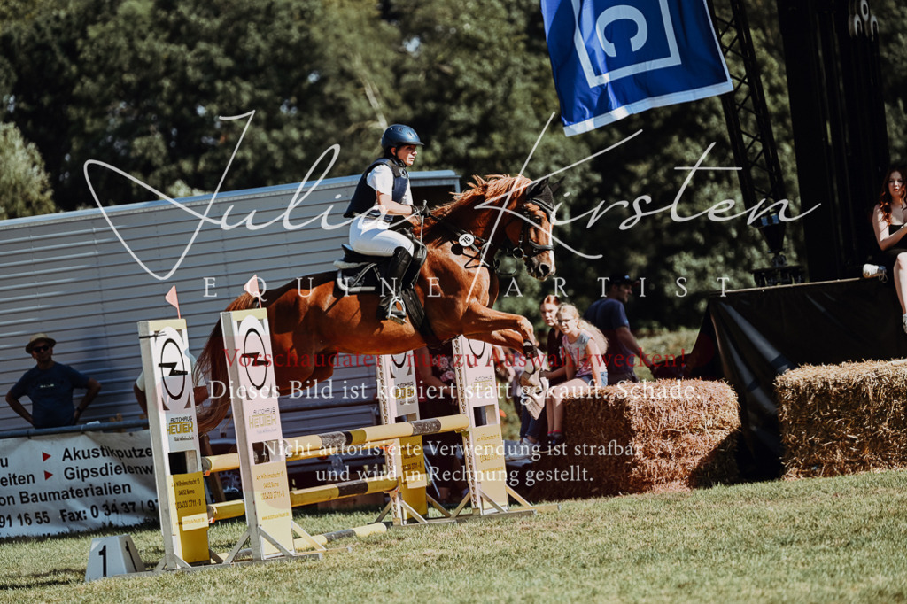 DSC_6934 | Pferde- und Turnierfotografie in Westsachsen. Pferdeportraits, Auftragszeichnungen und intuitive Kunst.