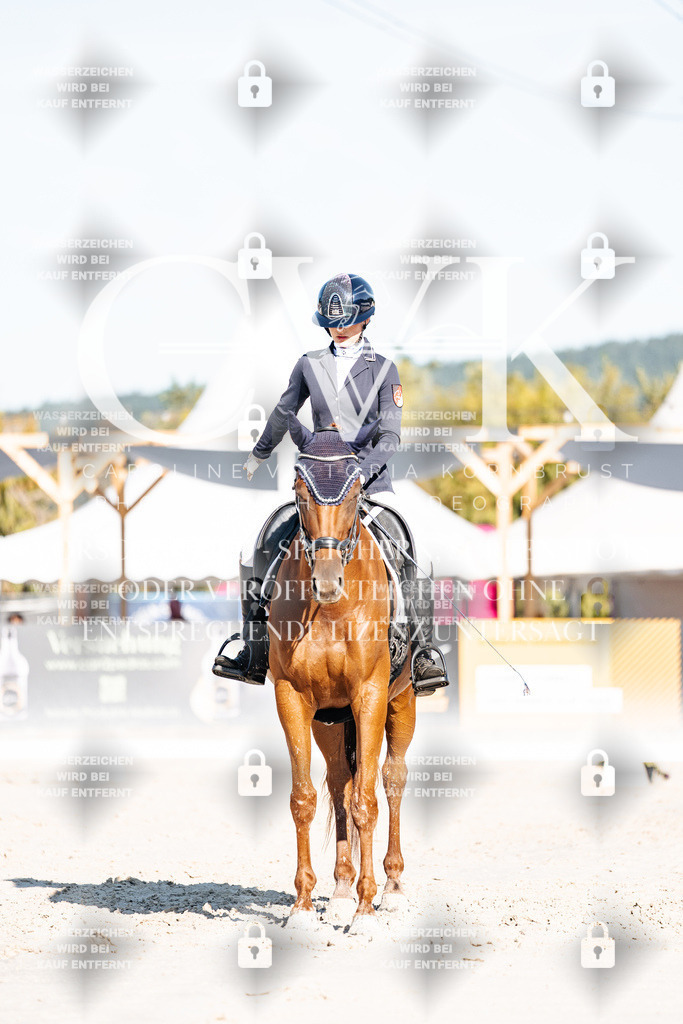 CK907391 | Turnierfotografie Pferdefotografie Trier Rheinland-Pfalz Pferdesport Reitsport Tierfotografie Sportfotografie Pferdevideo Pferdevideografie Equestrianvideography equestrianphotography  - Realisiert mit Pictrs.com